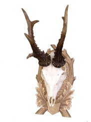 Podložka pod trofej č.127 - tónovaná