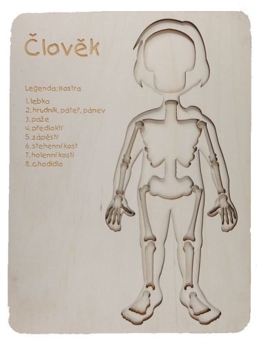 Člověk 1