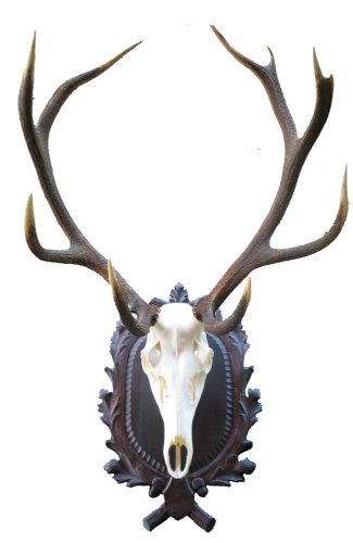 Podložka pod trofej č.224 - černá