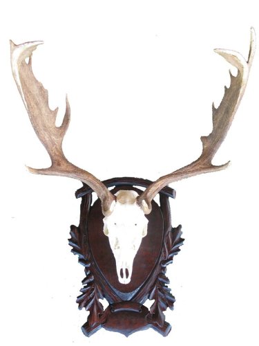 Podložka pod trofej č.206 - černá