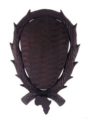 Podložka pod trofej č.474 prase bradavičnaté