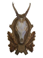 Podložka pod trofej č.147 hluboká řezba tónovaná