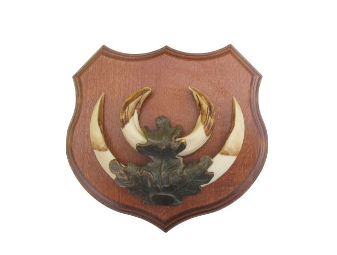 Podložka pod trofej č.361 - kaštan + bronzové litinové krytí