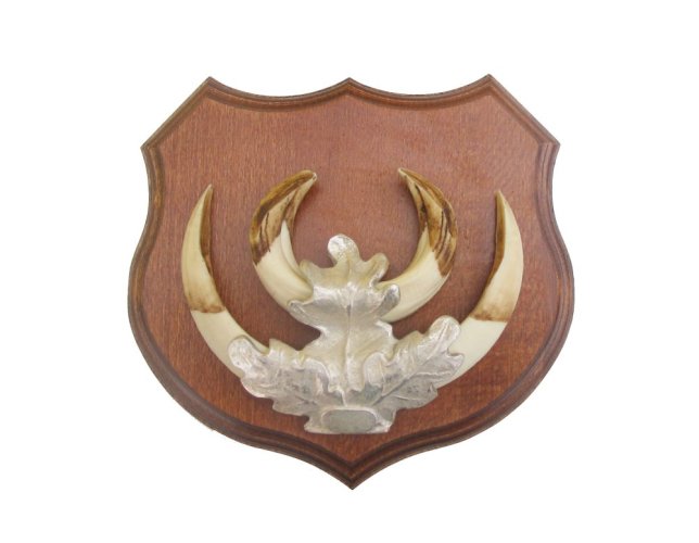 Podložka pod trofej č.361- kaštan + stříbrný list velký