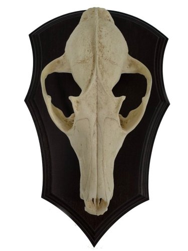 Podložka pod trofej č.309