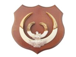 Podložka pod trofej č.364 - kaštan + stříbrné litinové krytí