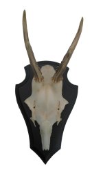 Podložka pod trofej č.325 - černá