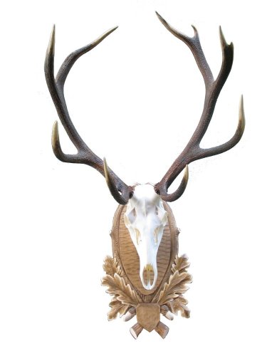 Podložka pod trofej č.210 - tónovaná