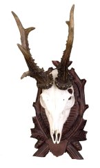 Podložka pod trofej č.125 - černá