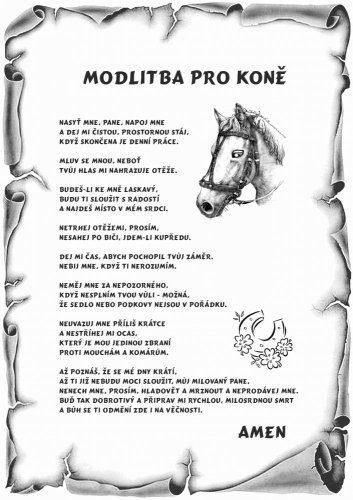 Modlitba pro koně č.783 pergamen z překližky