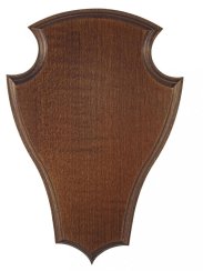 Podložka pod trofej č.325 - kaštan