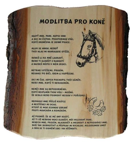 Modlitba pro koně č.783 na desce s kůrou