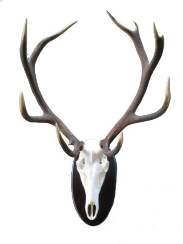 Podložka pod trofej č.350 - černá